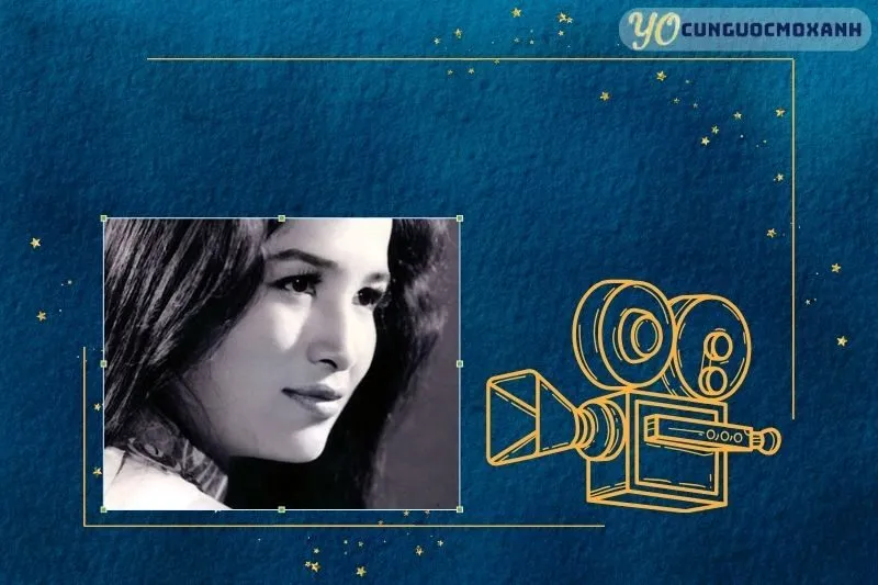 Tổng Quan Sự Nghiệp Và Tiểu Sử Đức Hoàn