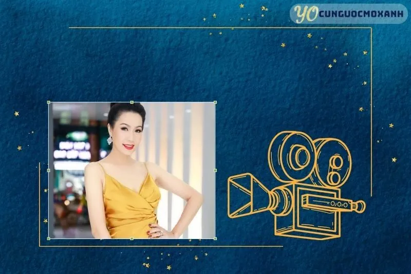 Tổng Quan Sự Nghiệp và Tiểu Sử Trịnh Kim Chi