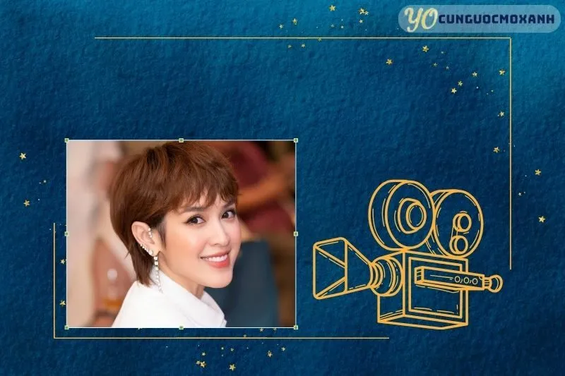 Tổng Quan Sự Nghiệp và Tiểu Sử Tú Vi