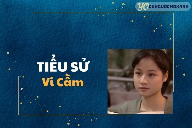 Tiểu Sử Vi Cầm: Nữ Diễn Viên Tài Năng Việt Nam 2025